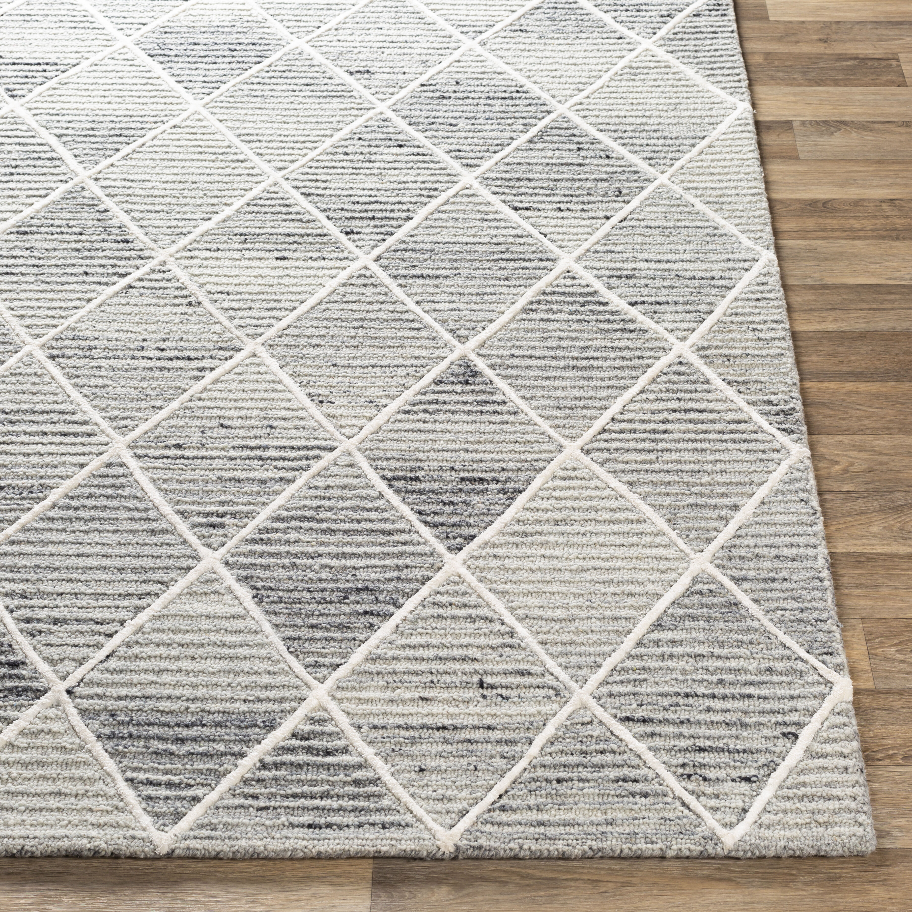 Eaton 90 X 60 inch Light Gray Rug in 5 x 8, Rectangle
