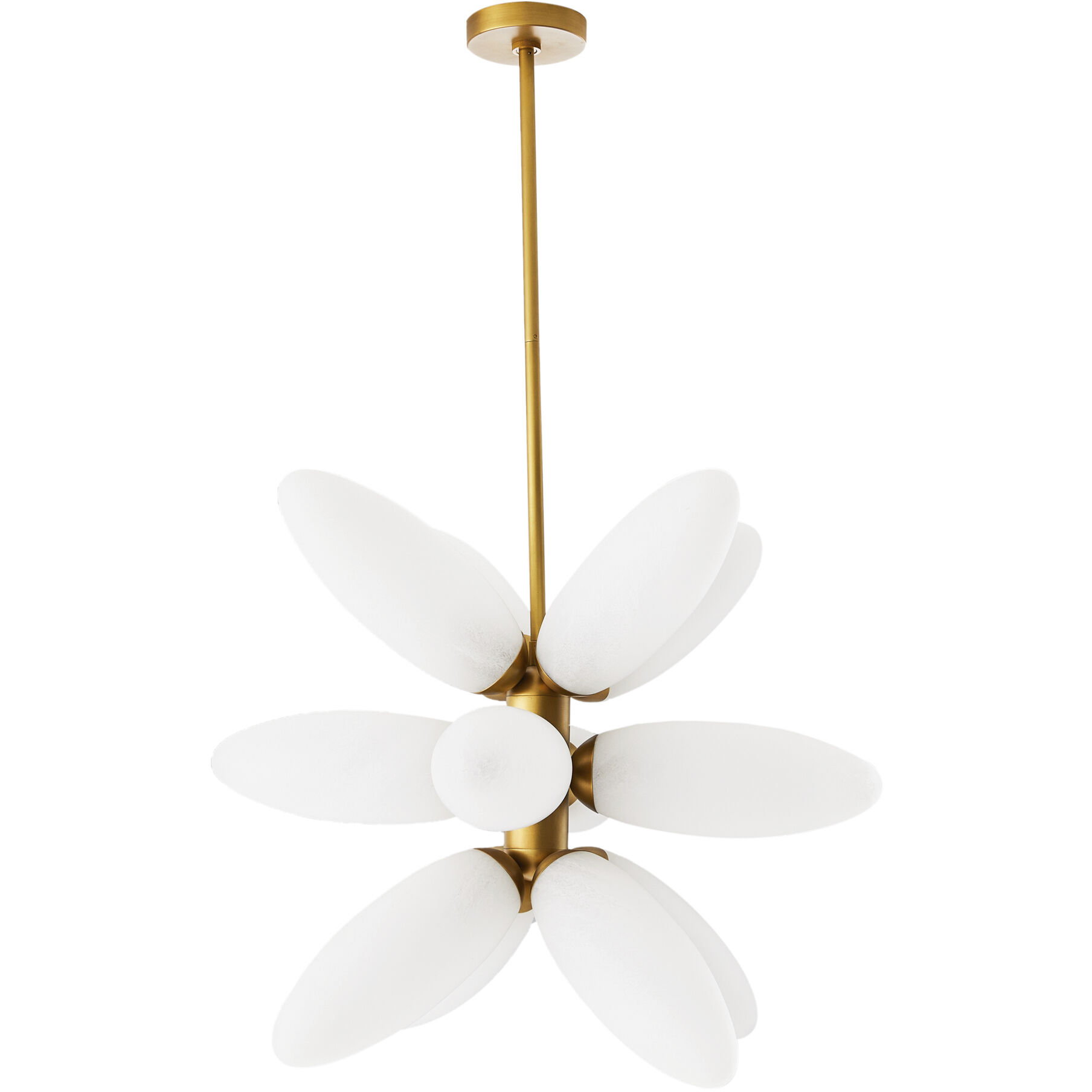 Starling 12 Light 27 inch Brushed Brass Chandelier Ceiling Light