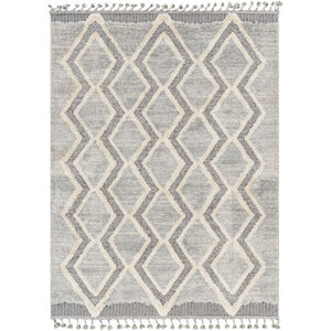 Sousse 67 X 50 inch Gray Rug, Rectangle