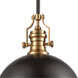 Pittsburgh 1 Light 17 inch Oil Rubbed Bronze with Satin Brass Pendant Ceiling Light