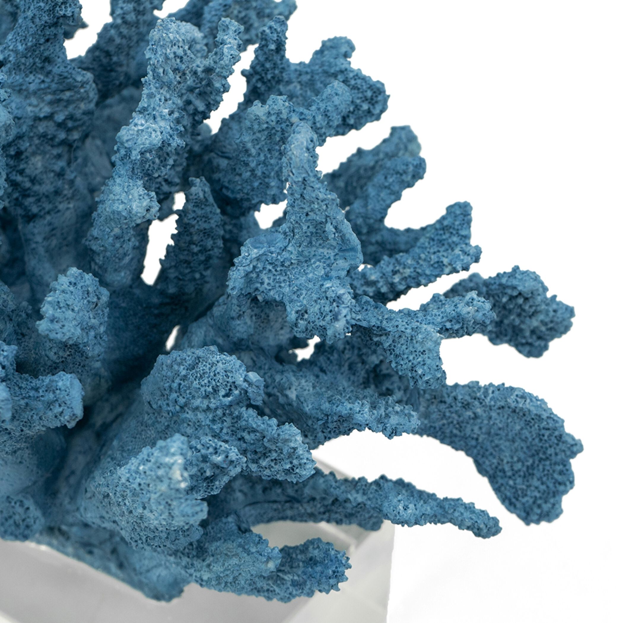 Expansive Blue Décor