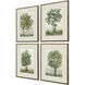 Landscapes Collection Green Framed Art