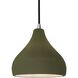 Radiance 1 Light 8 inch Matte Green and Brushed Nickel Pendant Ceiling Light