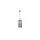 Canada 4 Light 8 inch Chrome Single Pendant Lighting Ceiling Light