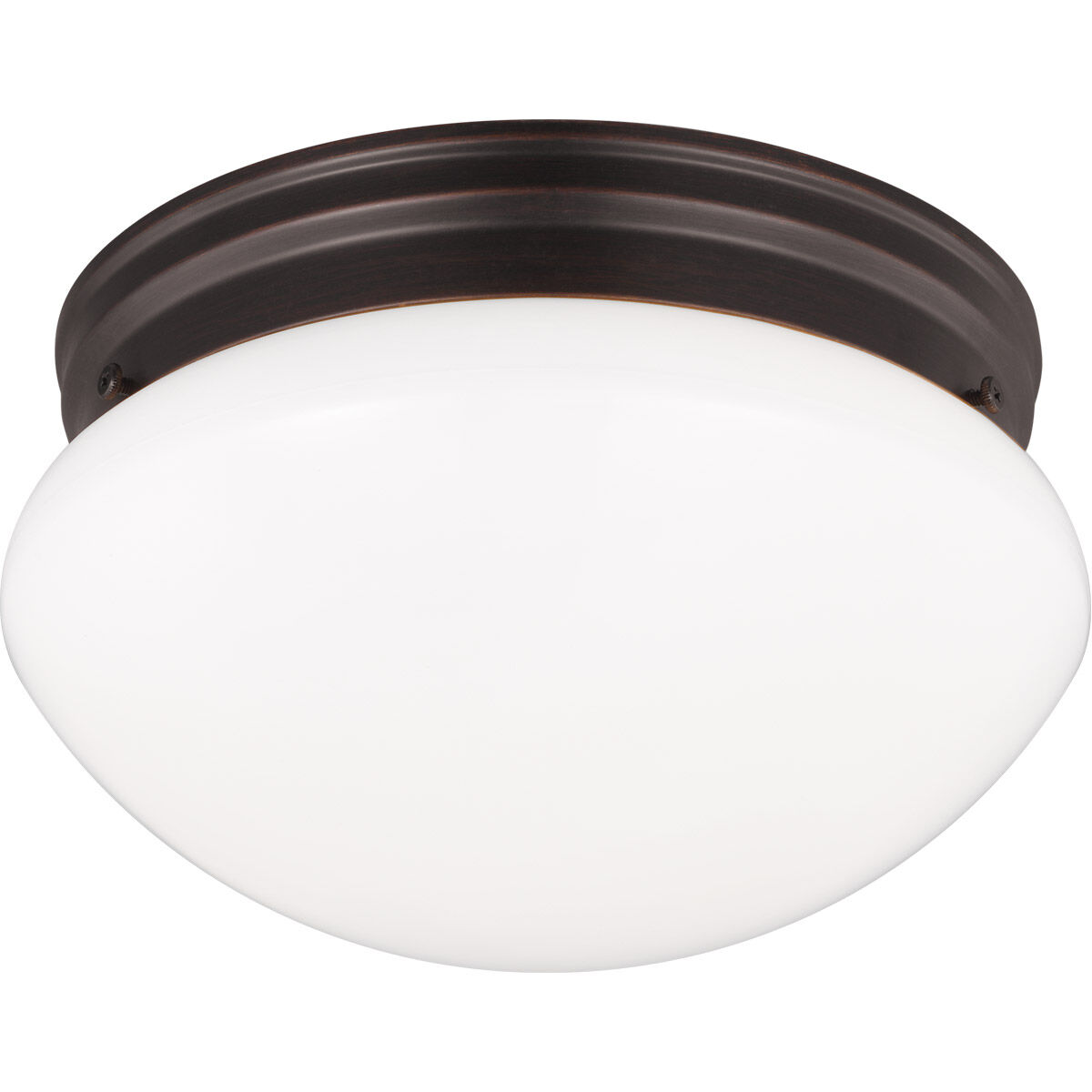 Webster 2 Light 9.5 inch Bronze Flush Mount Ceiling Light