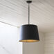 Open Air Alder 1 Light 20 inch Burnished Bronze Outdoor Pendant