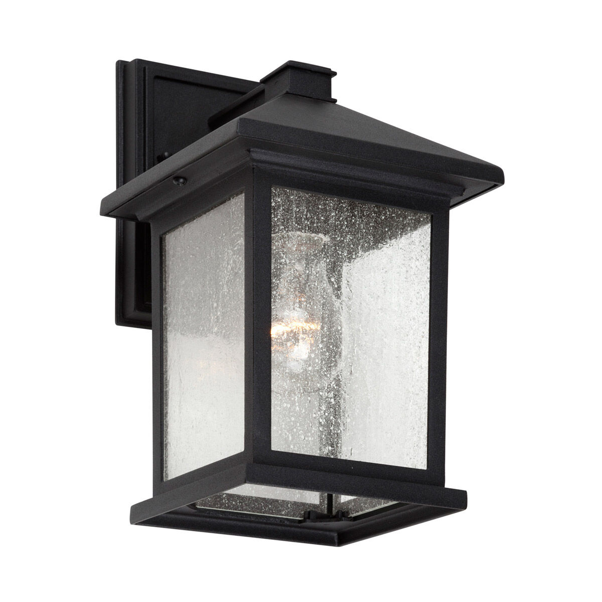 Signature 1 Light 11 inch Black Outdoor Wall Light