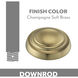 Aire Champagne Soft Brass Ceiling Fan Downrod in 12