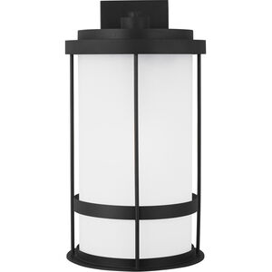 Wilburn 1 Light 24 inch Black Outdoor Wall Lantern, Extra Large