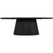 Madhy 48 X 24 inch Black Coffee Table