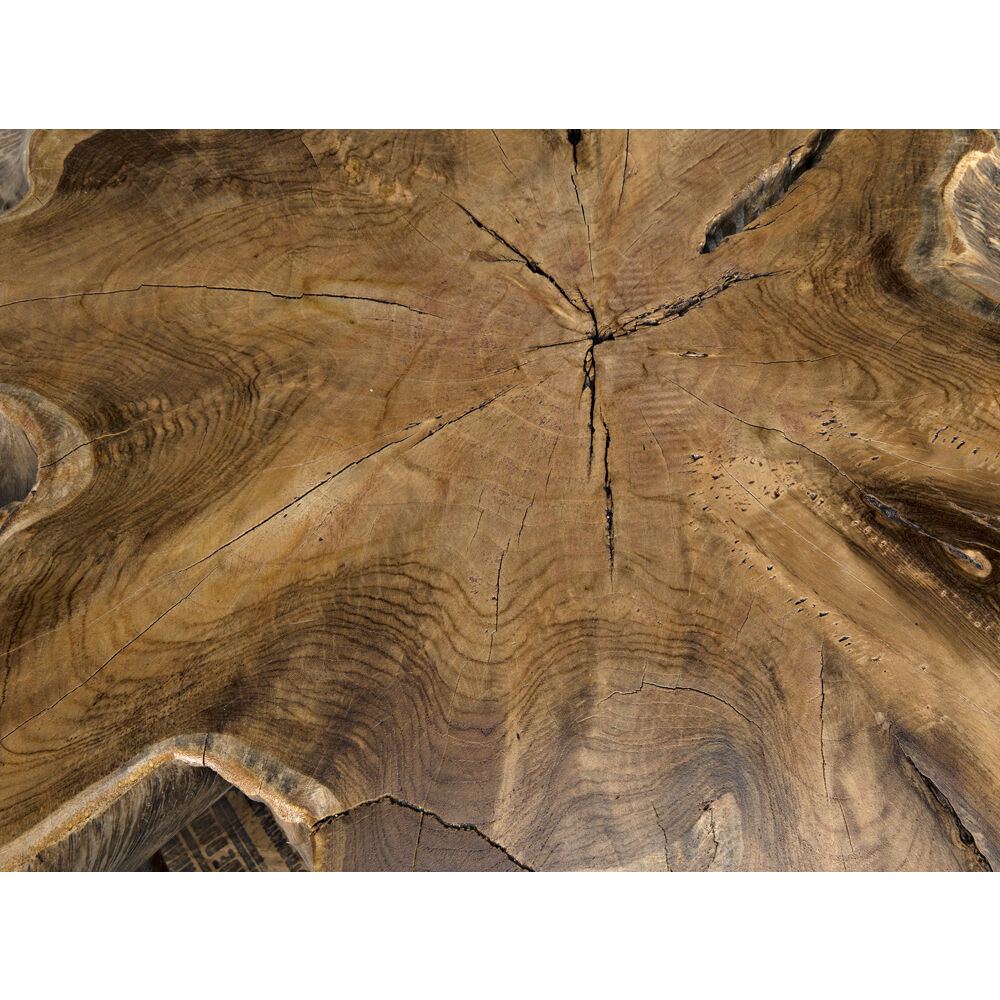 Teak Root Clear Coat Semi - Multilayered Coffee Table
