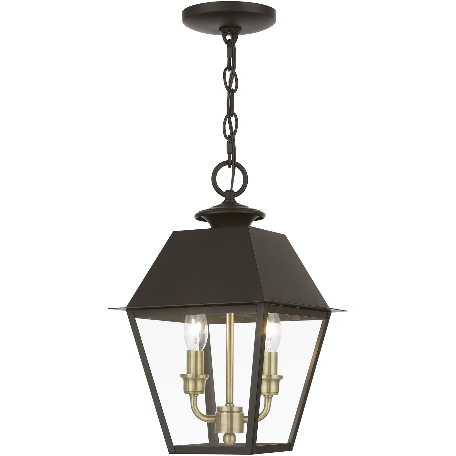 Wentworth 2 Light 9 inch Bronze with Antique Brass Finish Cluster Outdoor Pendant Lantern, Medium