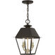 Wentworth 2 Light 9 inch Bronze with Antique Brass Finish Cluster Outdoor Pendant Lantern, Medium