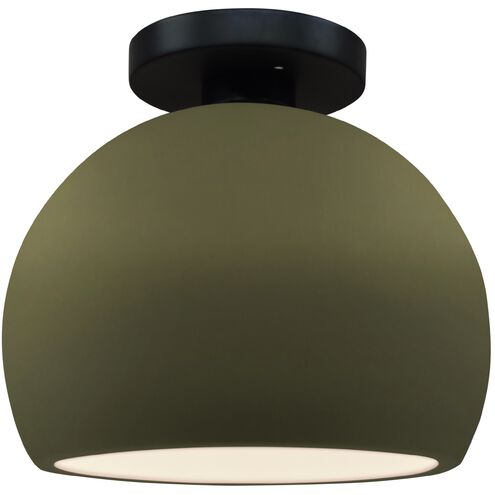 Radiance LED 7 inch Matte Green and Matte Black Semi Flush Ceiling Light
