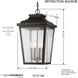 Irvington Manor 4 Light 12.5 inch Chelesa Bronze Outdoor Chain Hung Lantern in Incandescent, Clear Seeded Glass, The Great Outdoors