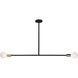 Pairs 2 Light 45 inch Matte Black and Polished Brass Pendant Ceiling Light