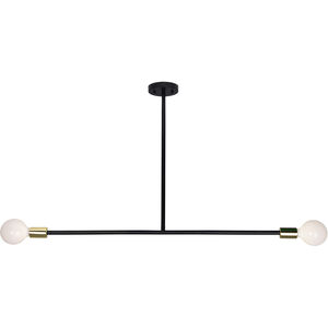 Pairs 2 Light 45 inch Matte Black and Polished Brass Pendant Ceiling Light