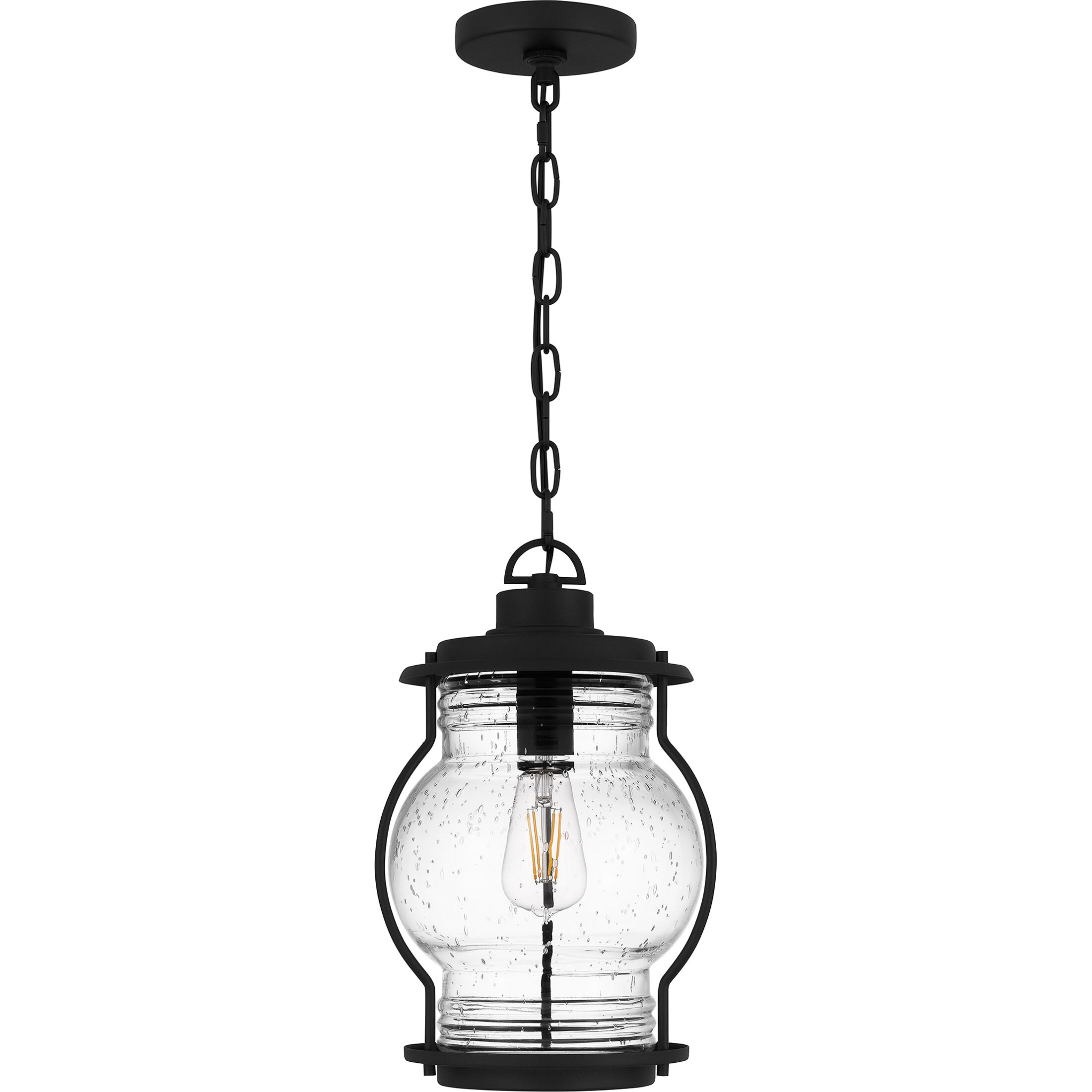 Luther 1 Light 9 inch Earth Black Outdoor Hanging Lantern, Large