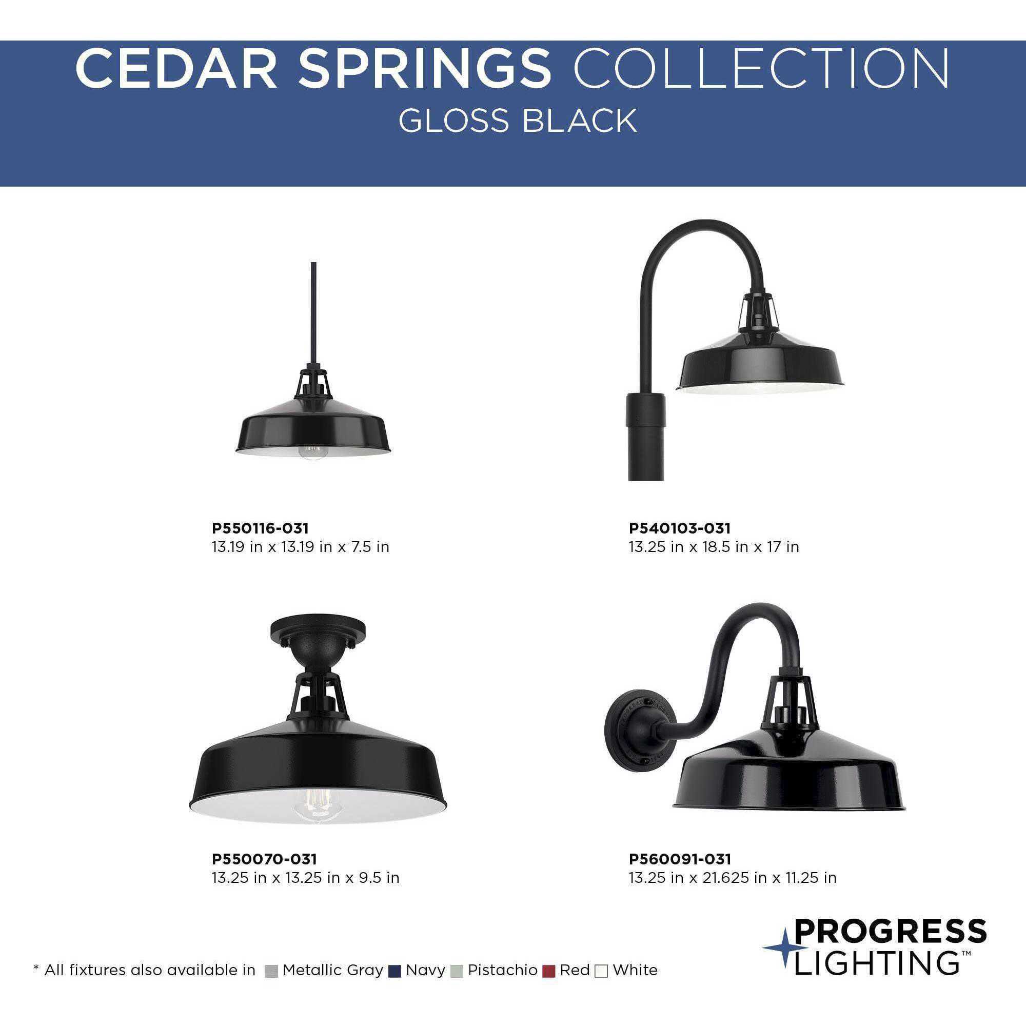 Cedar Springs 1 Light 13 inch Black Outdoor Hanging Light