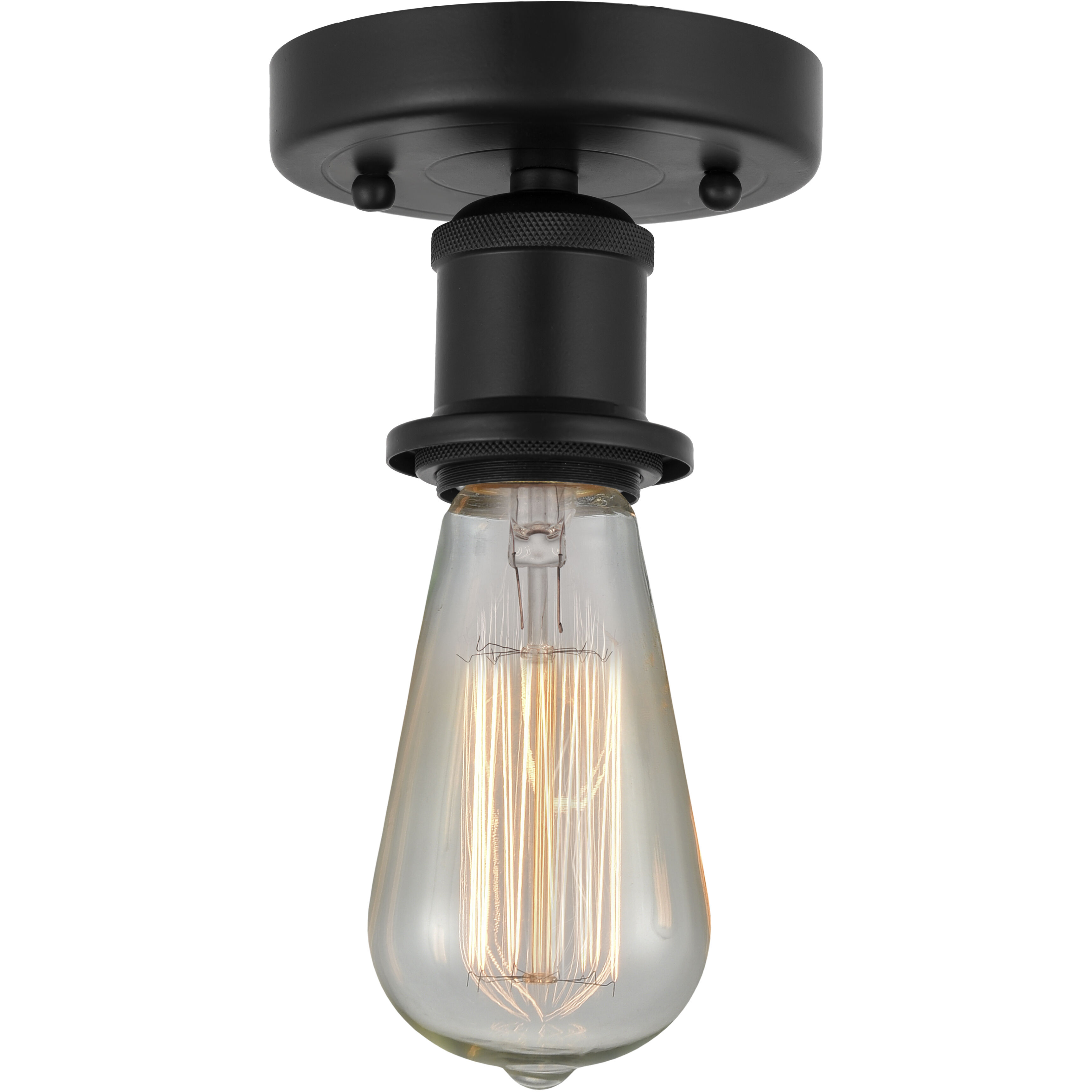 Flush mount ceiling light 2 bulb hot sale