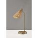 Cove 20 inch 40.00 watt Antique Brass Desk Lamp Portable Light 