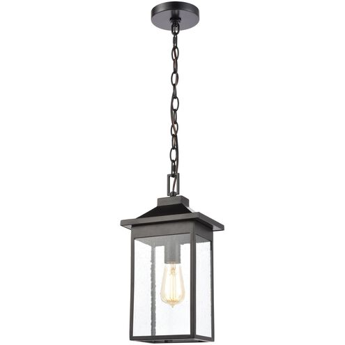 Lamplighter 1 Light 8 inch Matte Black Outdoor Pendant