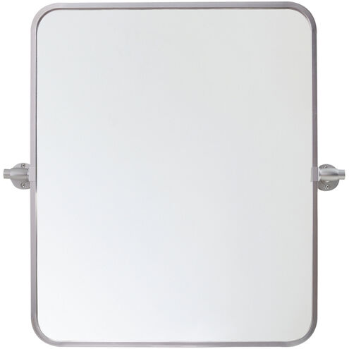 Everly 24 X 20 inch Silver Mirror