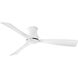 Coastal Elements Iver 56 inch Matte White Fan, Dual Mount