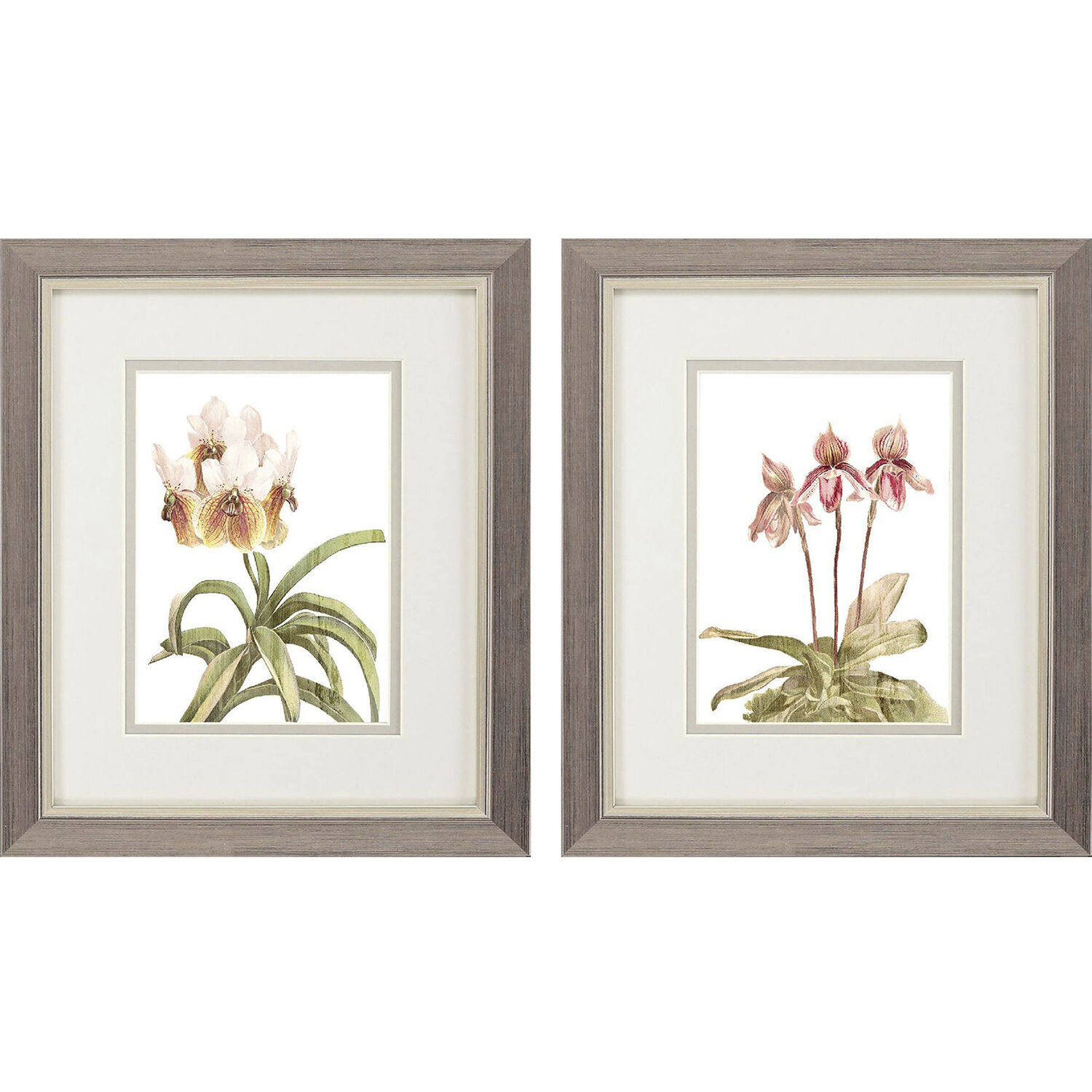Floral Beauty Pink and Green and Brown and Beige Framed Art, Propac
