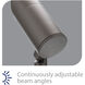 WAC InterBeam Bronze Low Voltage Accent Light in 3W 250 Lumens, 3000K Warm White LED, WAC Landscape