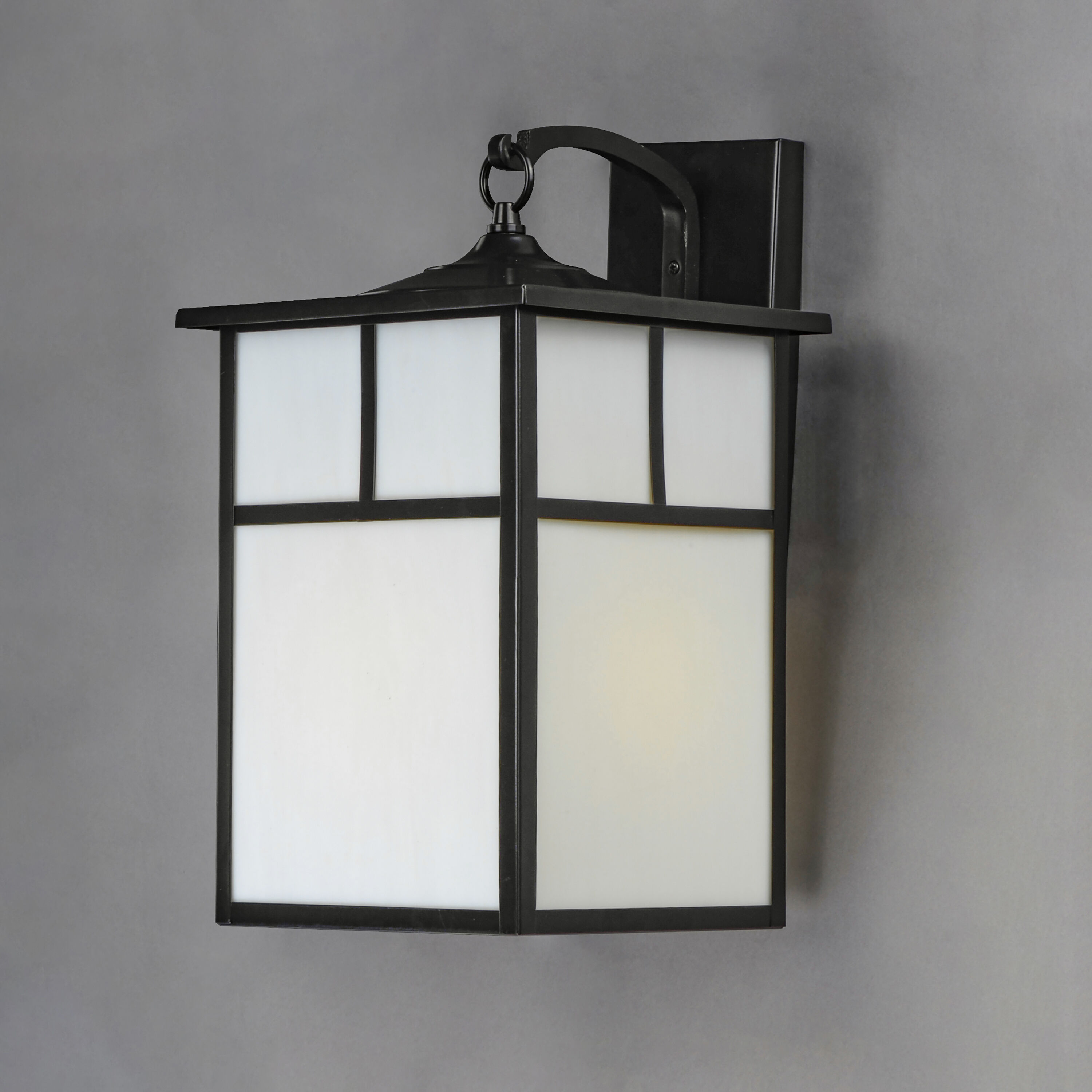 Coldwater 1 Light 16 inch Black Outdoor Wall Mount in White