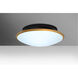 Silk 1 Light 16 inch Flush Mount Ceiling Light