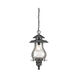 Blue Ridge 1 Light 8.00 inch Outdoor Pendant/Chandelier