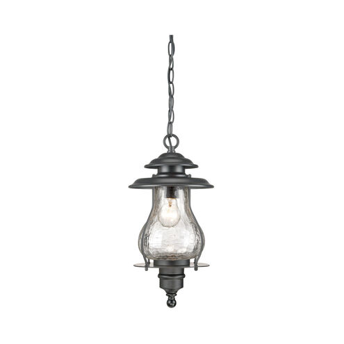 Blue Ridge 1 Light 8 inch Matte Black Exterior Hanging Lantern