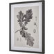 Oak Botanic Black Framed Wall Art, II
