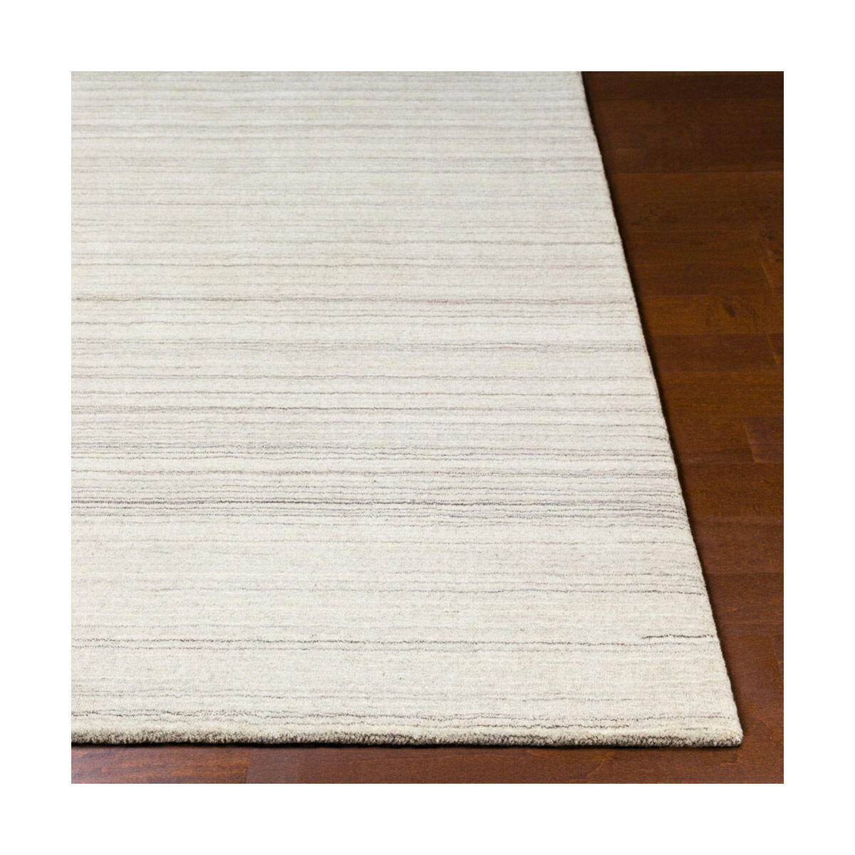 Adyant 36 X 24 inch Light Gray/Black/Cream Rugs, Rectangle