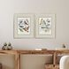 Bird Variety Blue and Green and Pink and Yellow Framed Art