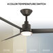 Bolo 62 inch Bronze Ceiling Fan