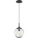 Aster Incandescent 1 Light 10 inch Matte Black Pendant Ceiling Light in Clear Aster