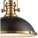Pittsburgh 1 Light 17 inch Oil Rubbed Bronze with Satin Brass Pendant Ceiling Light