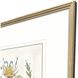 Botanica 22083 Multi and Blue and Green and Yellow Framed Art, The Studio