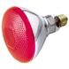 Lumos Incandescent BR38 Medium E26 100 watt 120V Light Bulb