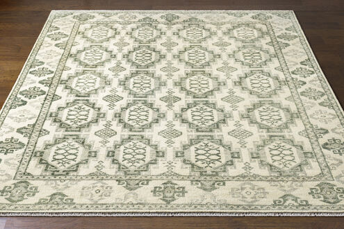 Palais 168 X 120 inch Sage Rug in 10 x 14, Rectangle