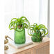 Faux Spider Plant Dark Green Floral Décor