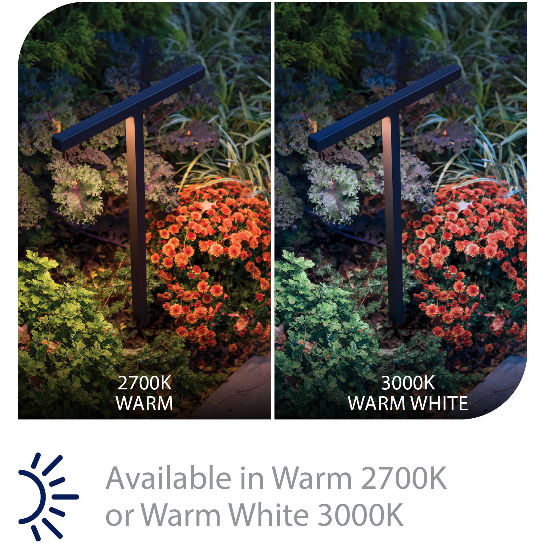 Balance 12 6.5 watt Black Path Lighting in 2700K, Path and Area Light, WAC Landscape