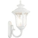 Oxford 3 Light 22 inch Textured White Outdoor Wall Lantern