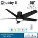 Chubby II 58 inch Coal Indoor/Outdoor Ceiling Fan, Wifi