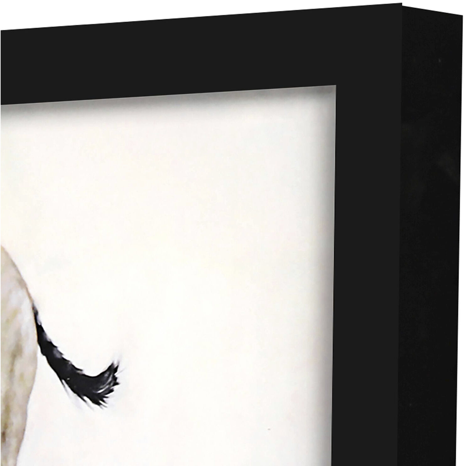 Animals 11 X 9 inch Non-Glass Framed Art, Propac