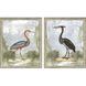 Animals Collection Blue Framed Art