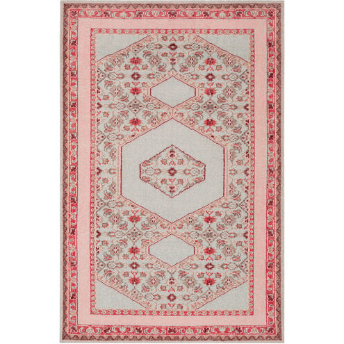 Zahra 102 X 66 inch Mint, Pale Pink, Bright Red Rug